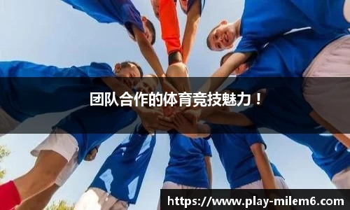 米乐M6官方网站